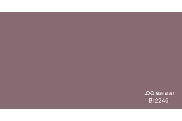 B12245透明
